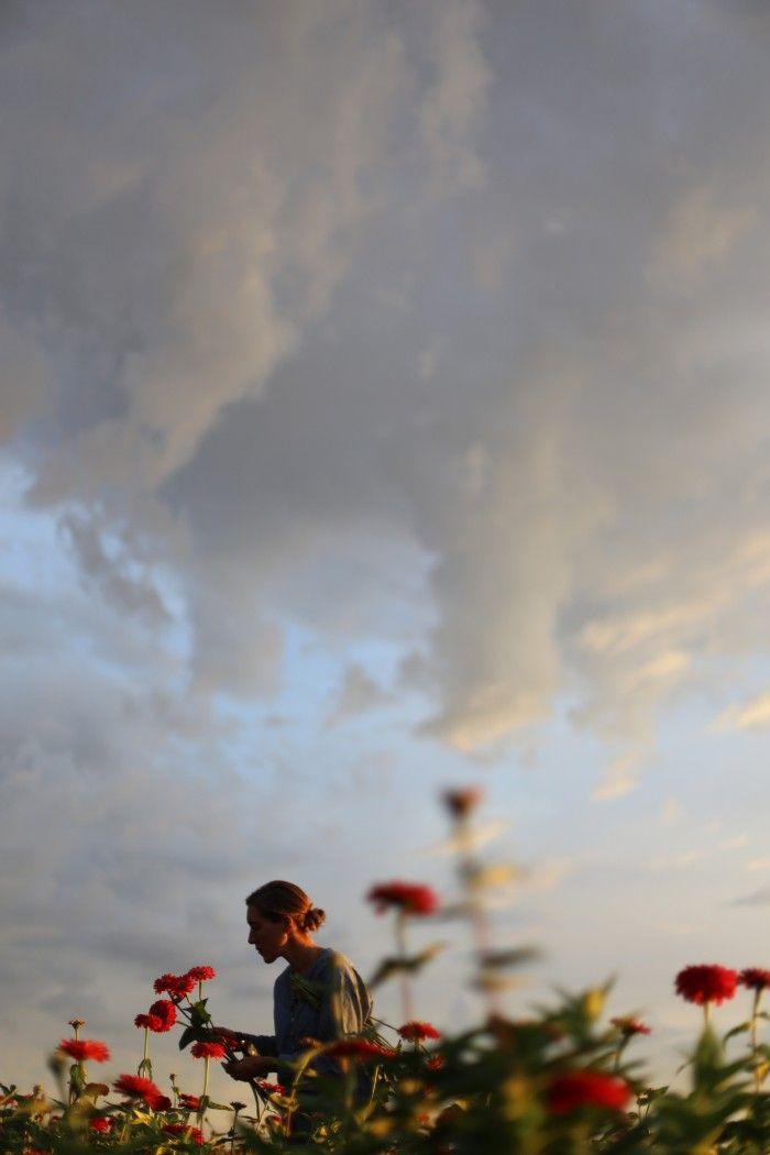 Mint Forest Nest workshop space where corporate flower arrangements are designed and prepared for business delivery